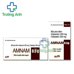 Amnam 0,5g Dopharma - Thuốc điều trị nhiễm trùng
